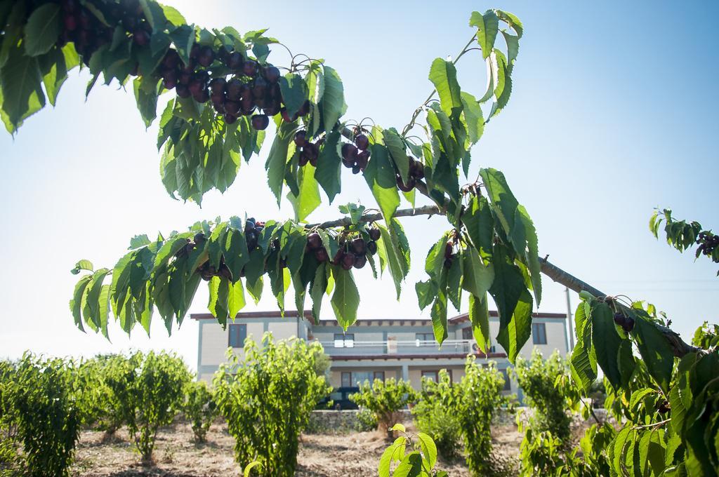 Agriturismo La Ferrovia Molfetta Dış mekan fotoğraf